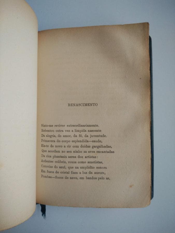A Musa em Férias — image 4