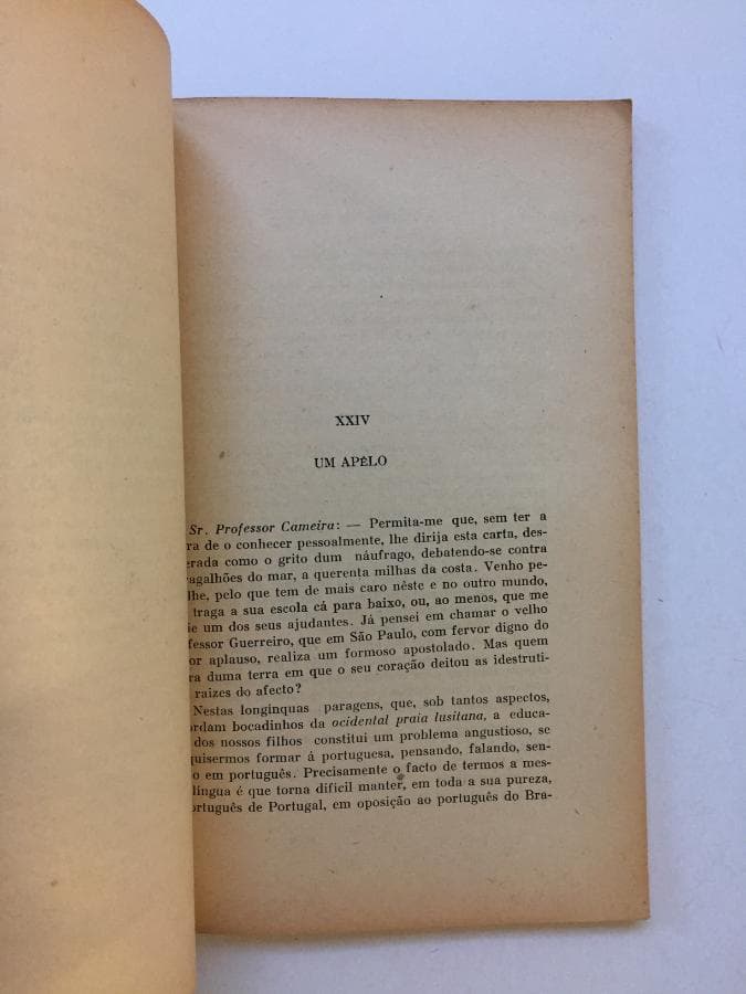 Pregar no Deserto — image 2