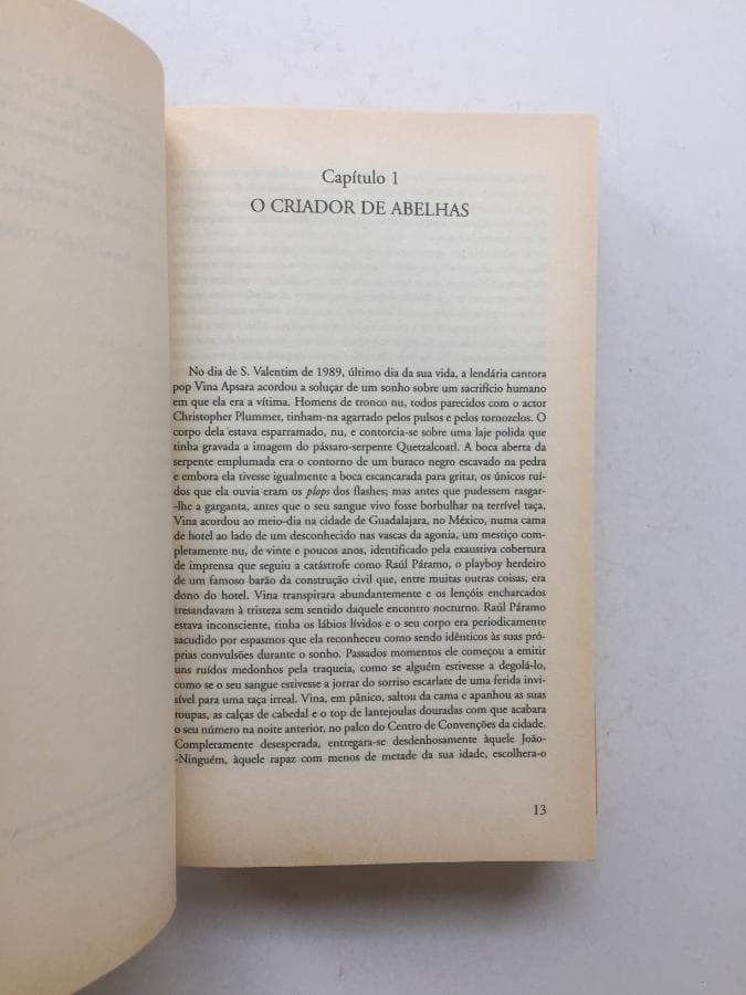 O Chão que Ela Pisa · Salman Rushdie — image 2