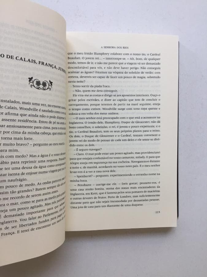 A Senhora dos Rios · Philippa Gregory — imagem 2