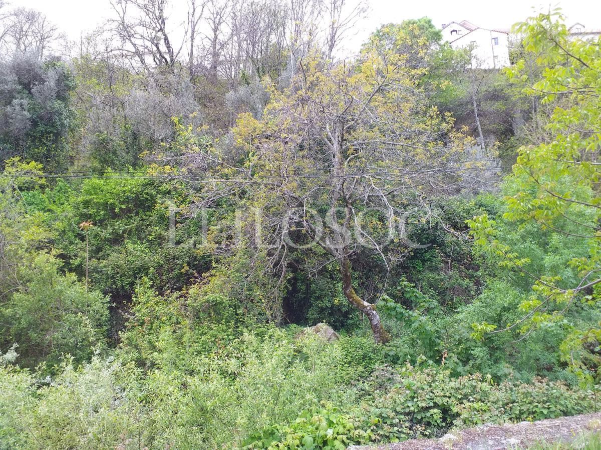 Terreno · Manteigas, Guarda — image 4