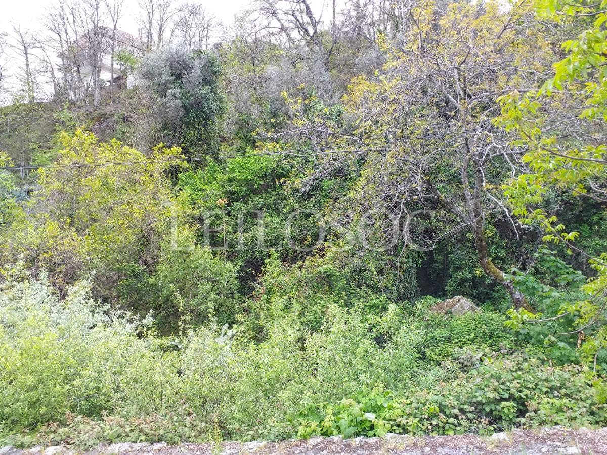 Terreno · Manteigas, Guarda — image 6