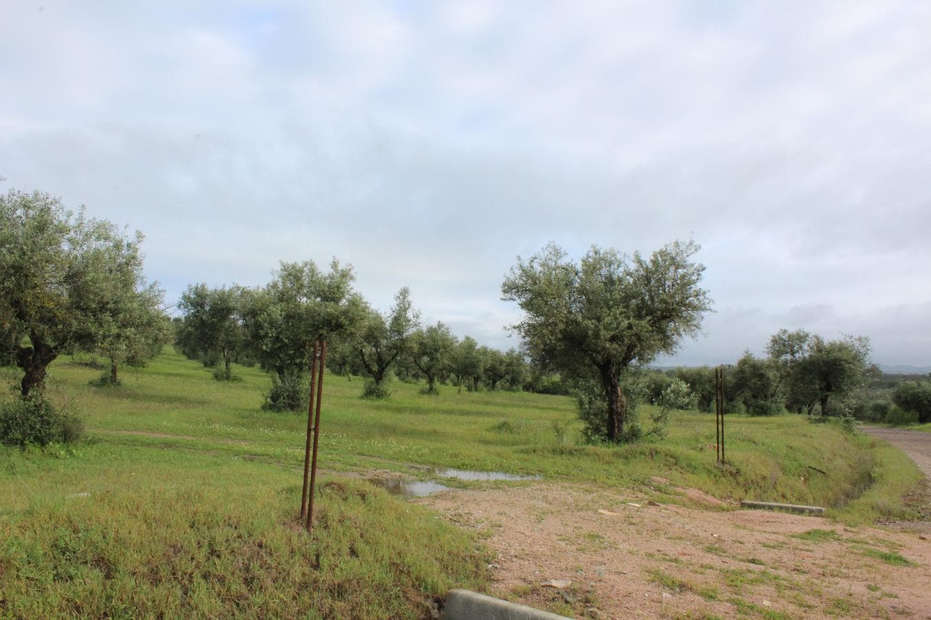 2/12 Terreno · Campo Maior — imagen 3