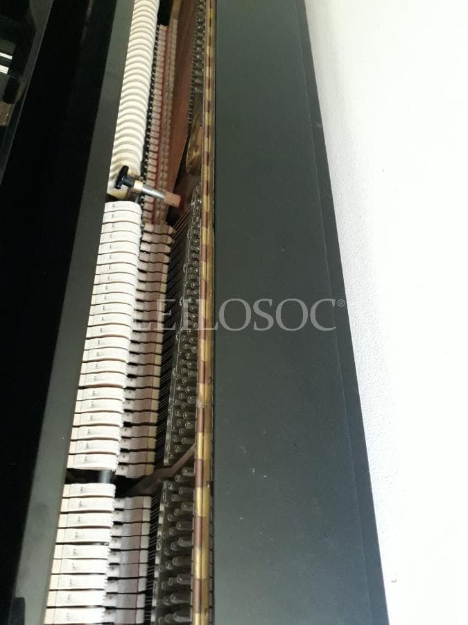 LEILÃO SUSPENSO · Instrumentos Musicais — imagen 4