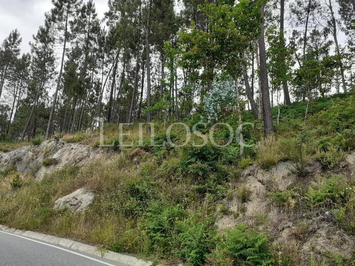 Terrenos · São Pedro do Sul — image 5