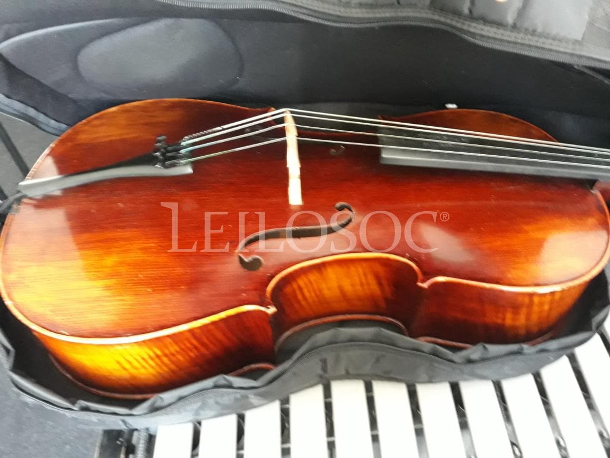 LEILÃO SUSPENSO · Instrumentos Musicais — imagem 2