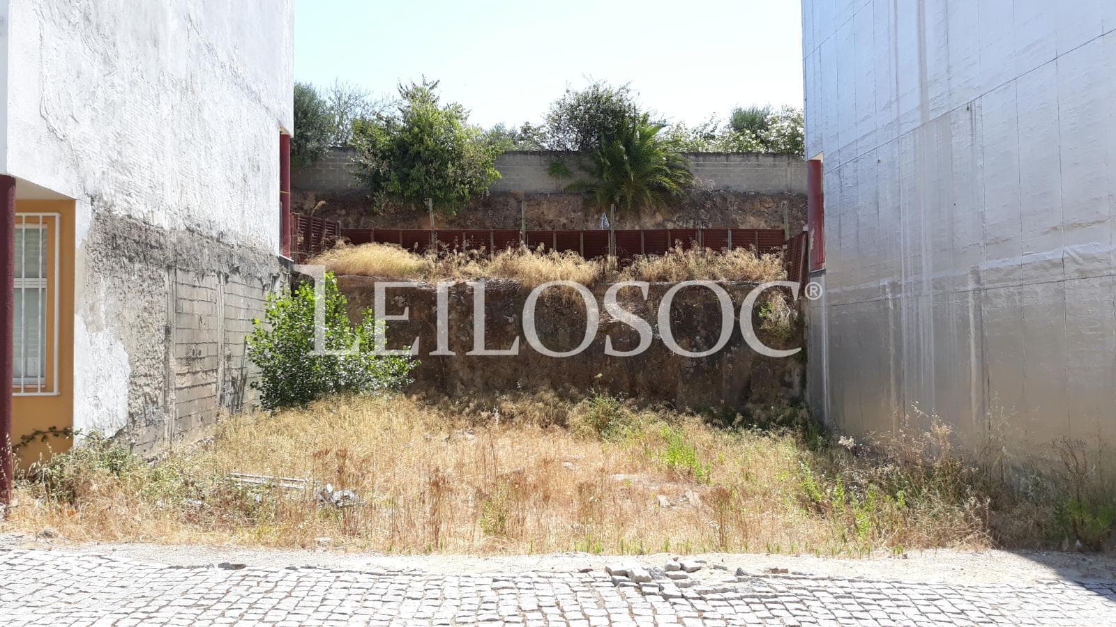 Lote para Construção · Portalegre — imagen 2