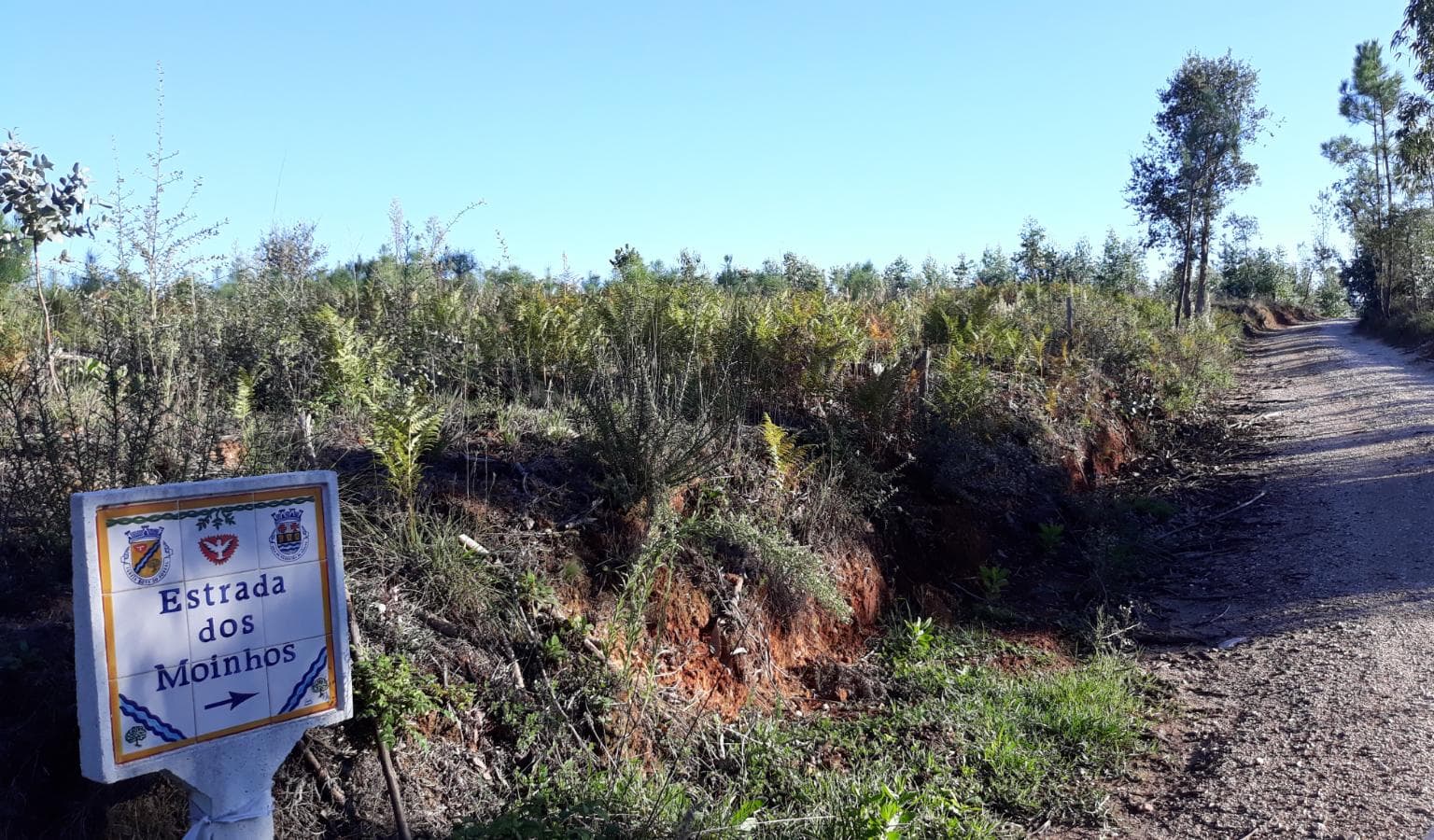 Terreno · Ferreira do Zêzere, Santarém — imagen 2