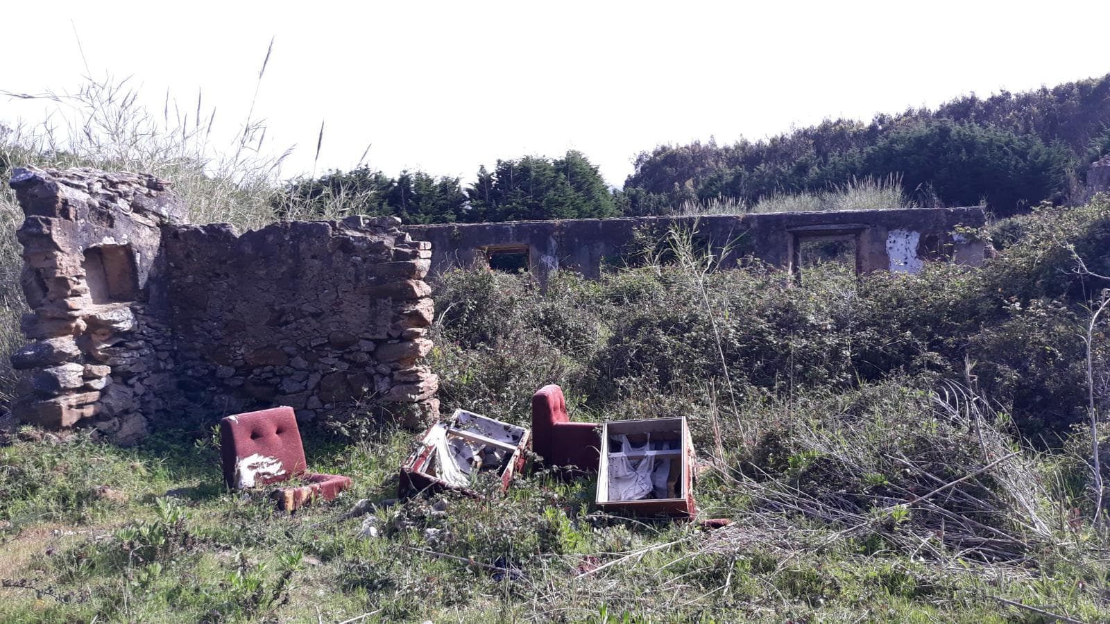 Terreno · Foz do Arelho - Caldas da Rainha — image 3