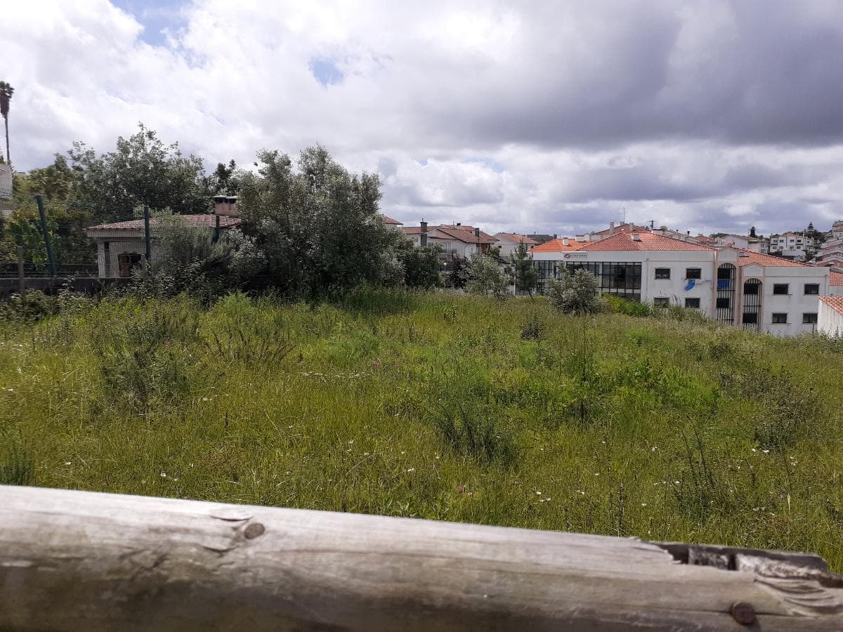 Quinhão Hereditário · Coimbra — imagem 3