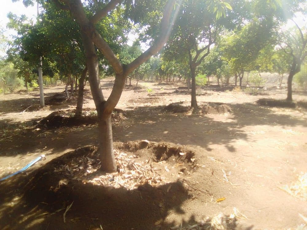 Infraestruturas em terreno de 30 Hectares · — imagem 11