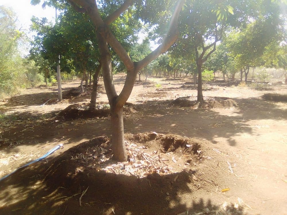 Infraestruturas em terreno de 30 Hectares · — imagem 16