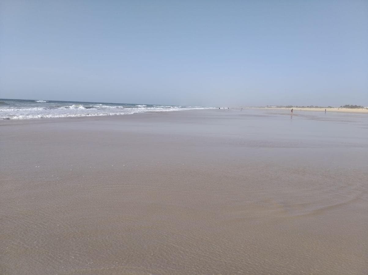 Lote para Construção · Castro Marim — image 6