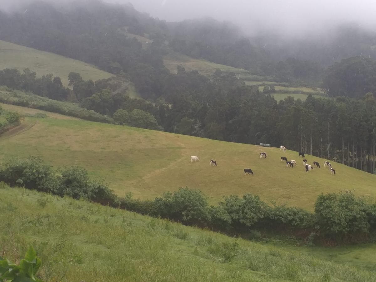 Quinhão Hereditário · Ribeira Grande, Açores — imagen 1