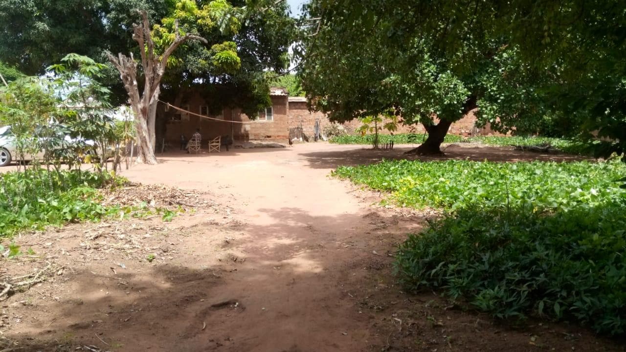 Casa T2 em terreno de 4200m2 — imagem 5