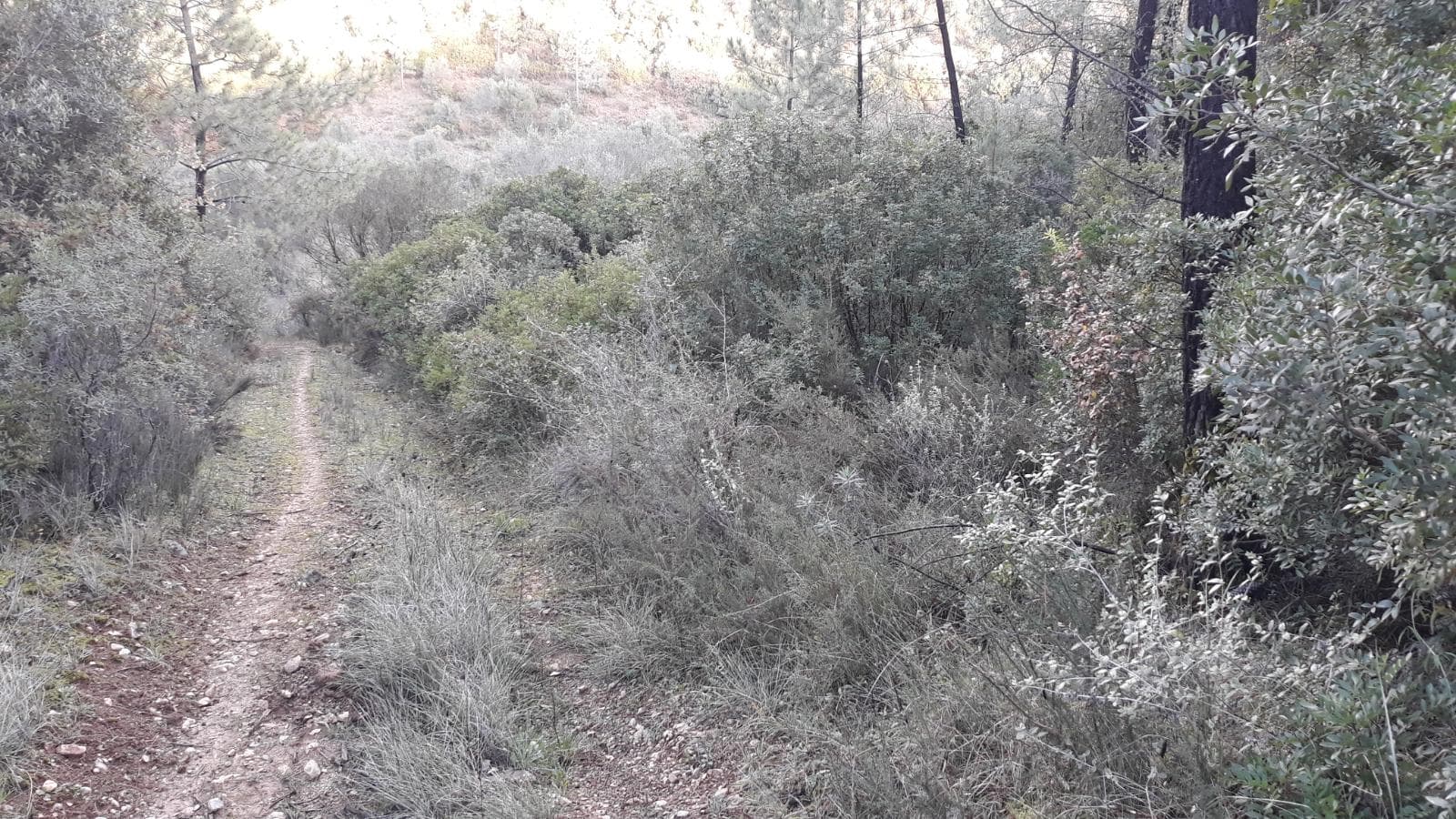 Quinhão Hereditário · Santarém — imagen 30