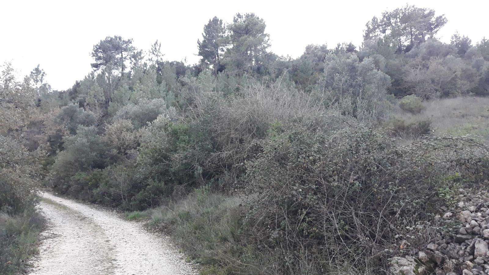 Quinhão Hereditário · Santarém — imagen 2