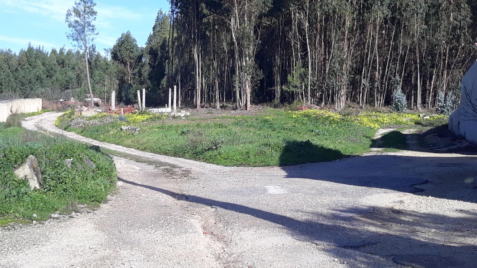Quinhão Hereditário · Santarém — imagen 22
