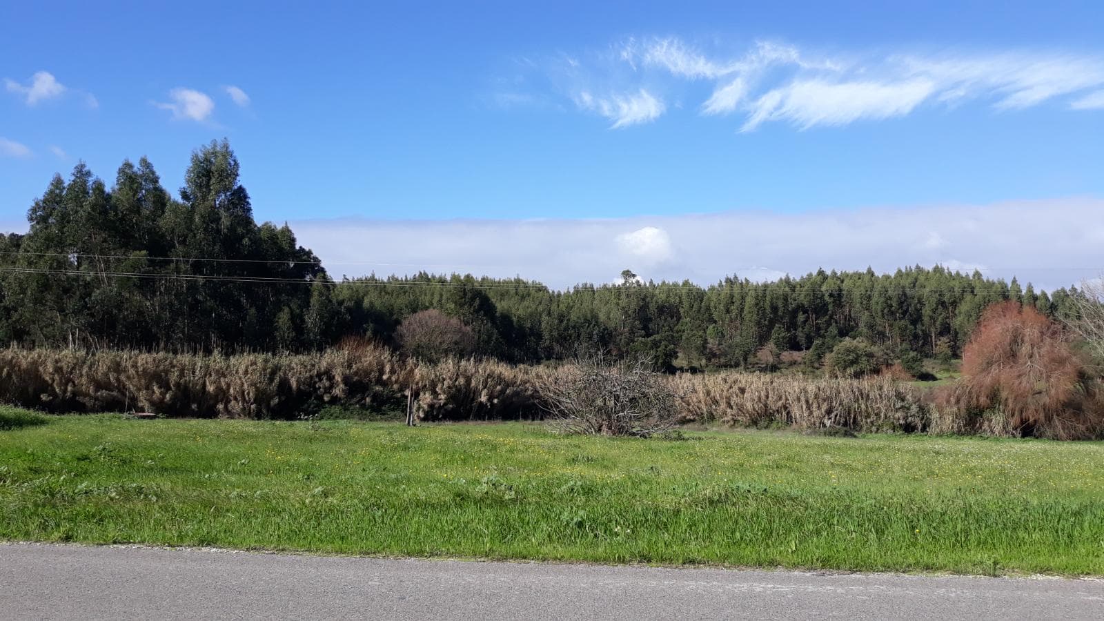 Quinhão Hereditário · Santarém — imagen 9