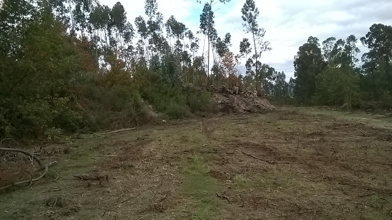 Proporção de 1/3 De Terrenos · Fafe — imagem 3
