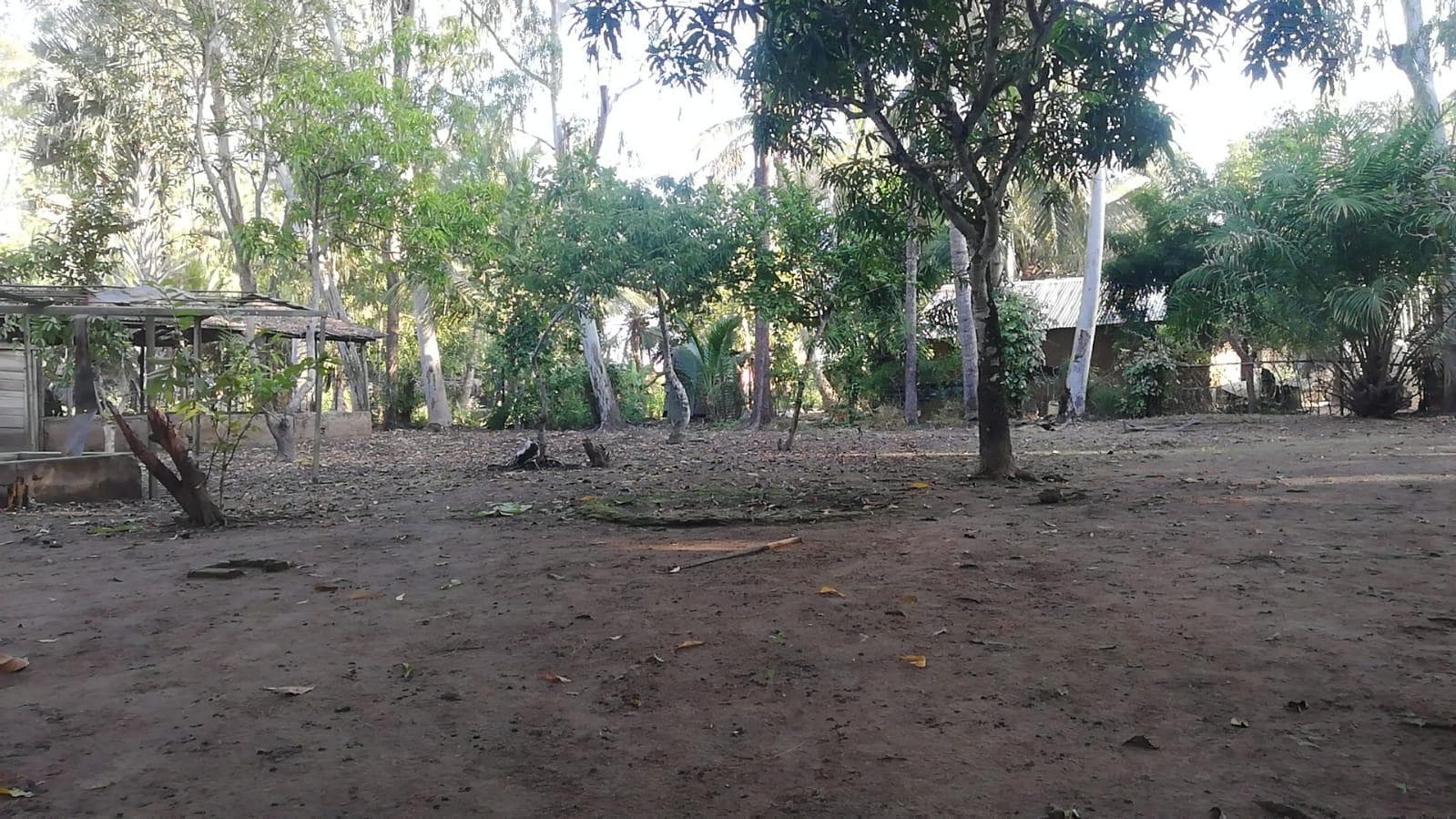 Quinta em Namacata · — imagem 7