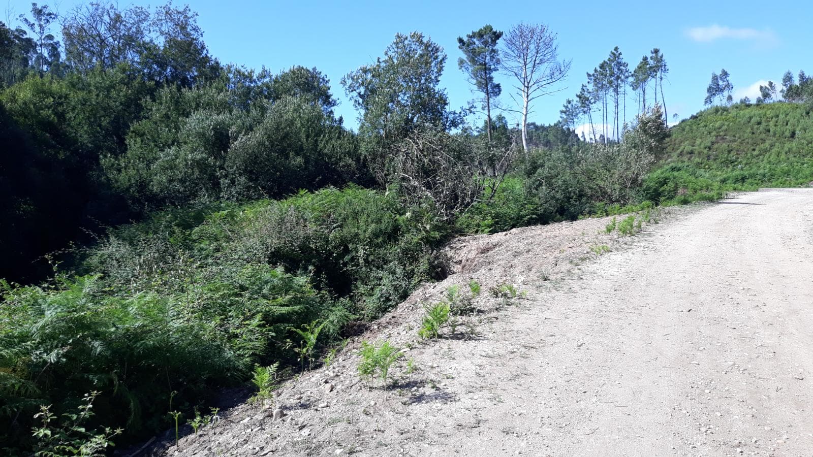 Quinhão Hereditário · Pombal — imagem 11