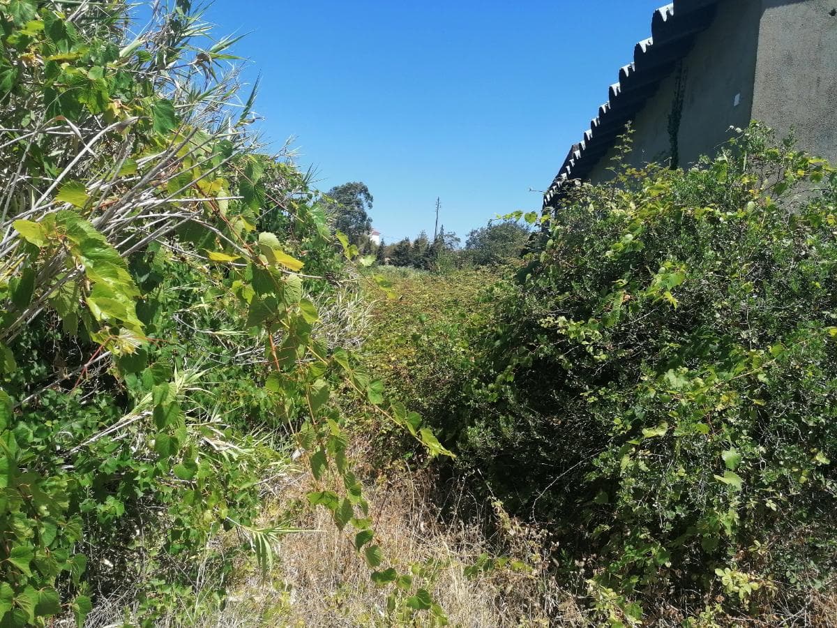Terreno · Azambuja — imagen 6