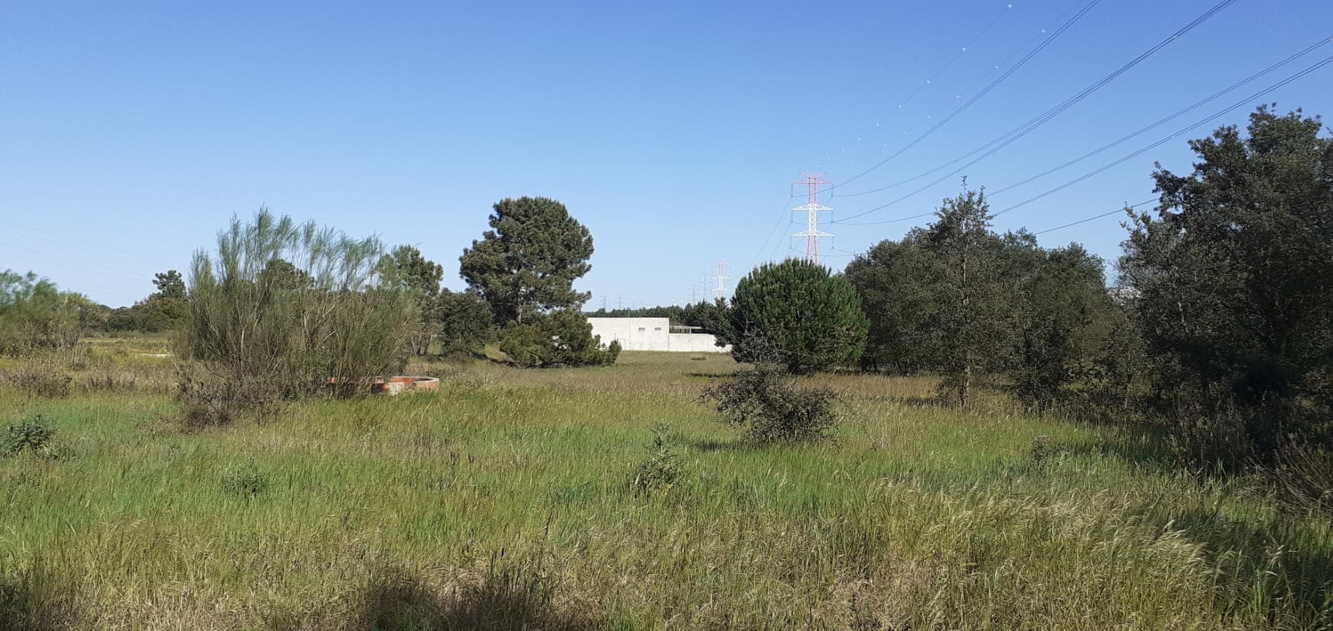 Terreno · Palmela — image 1