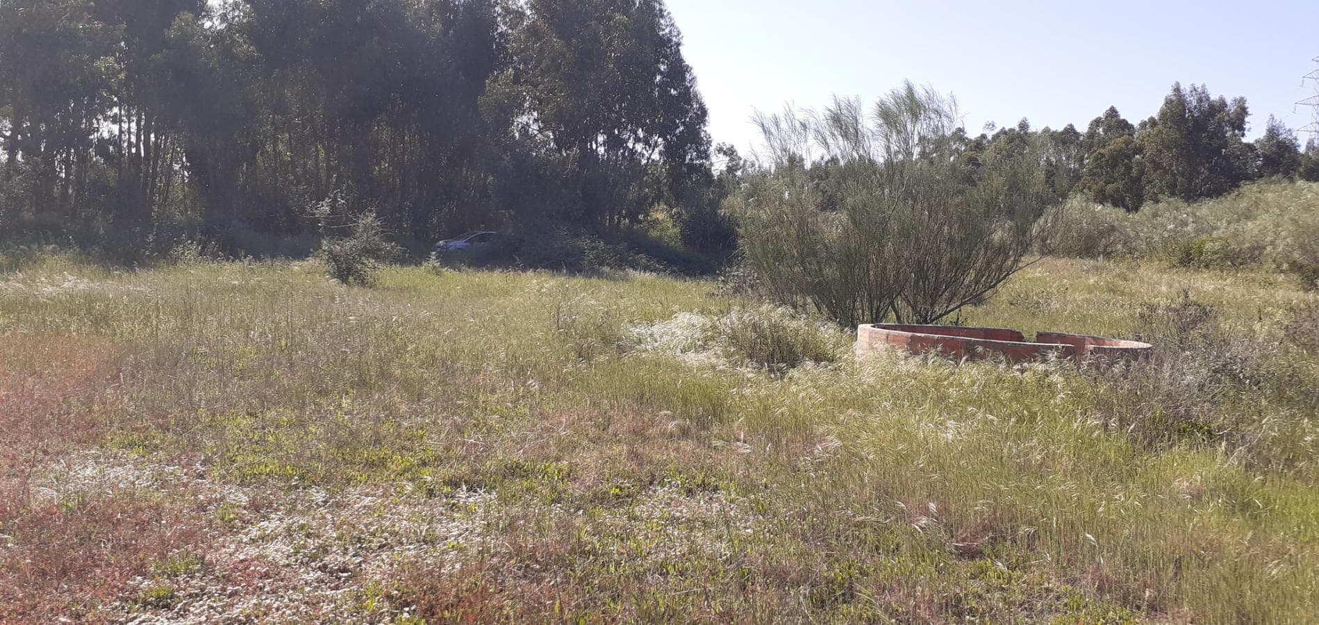 Terreno · Palmela — image 7