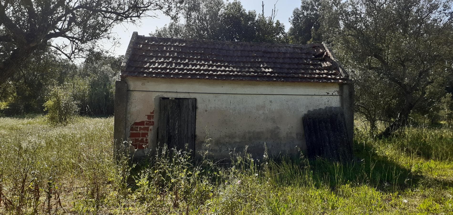 Terreno · Palmela — image 10