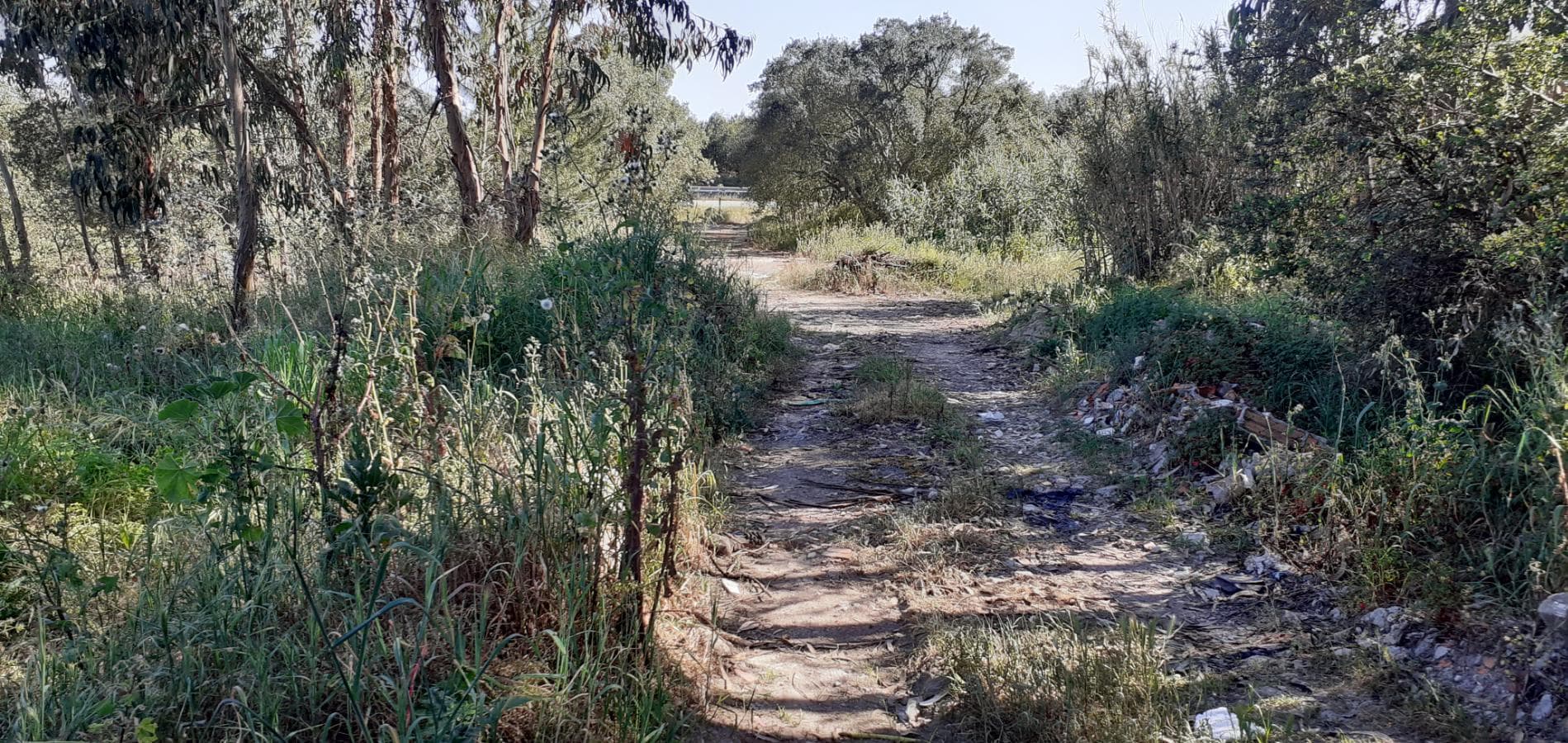 Terreno · Palmela — image 13