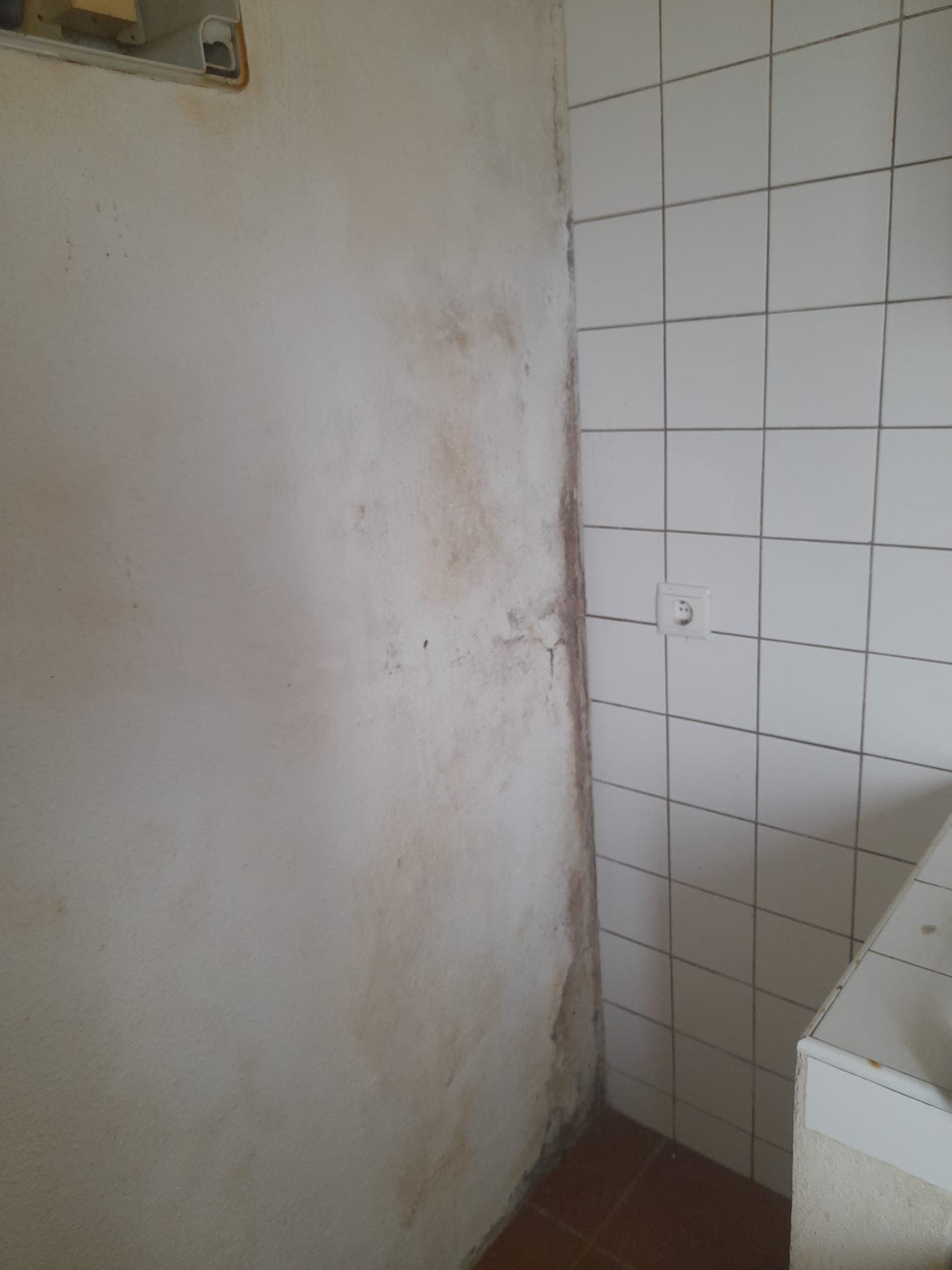 Apartamento T1 · Calheta, Açores — image 3