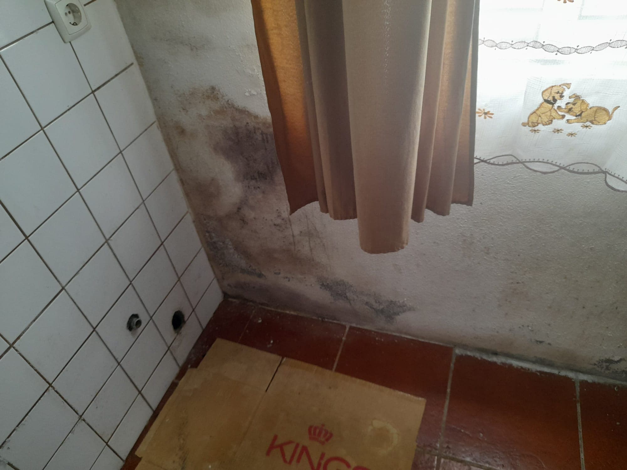 Apartamento T1 · Calheta, Açores — image 4