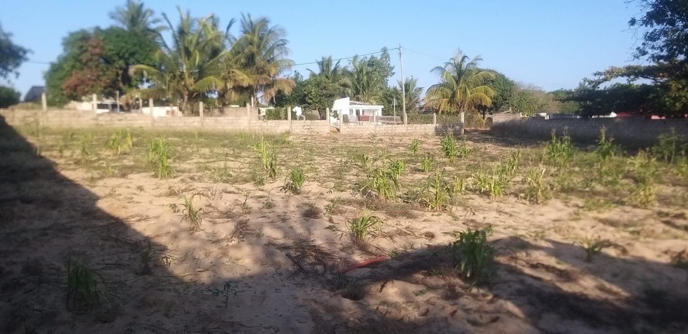 Infraestruturas em terreno — imagen 6
