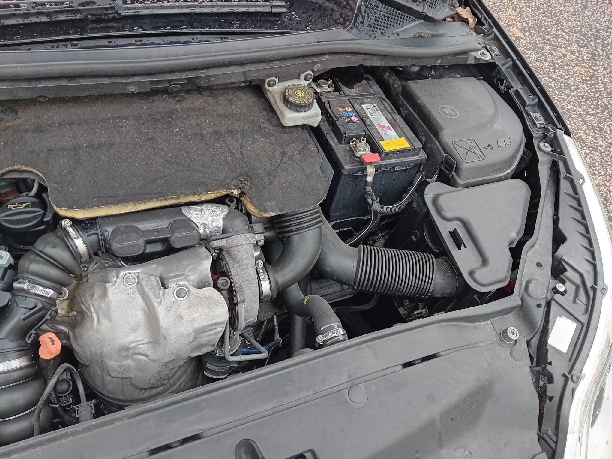 Citroën C4 · Ano 2008 — imagen 11