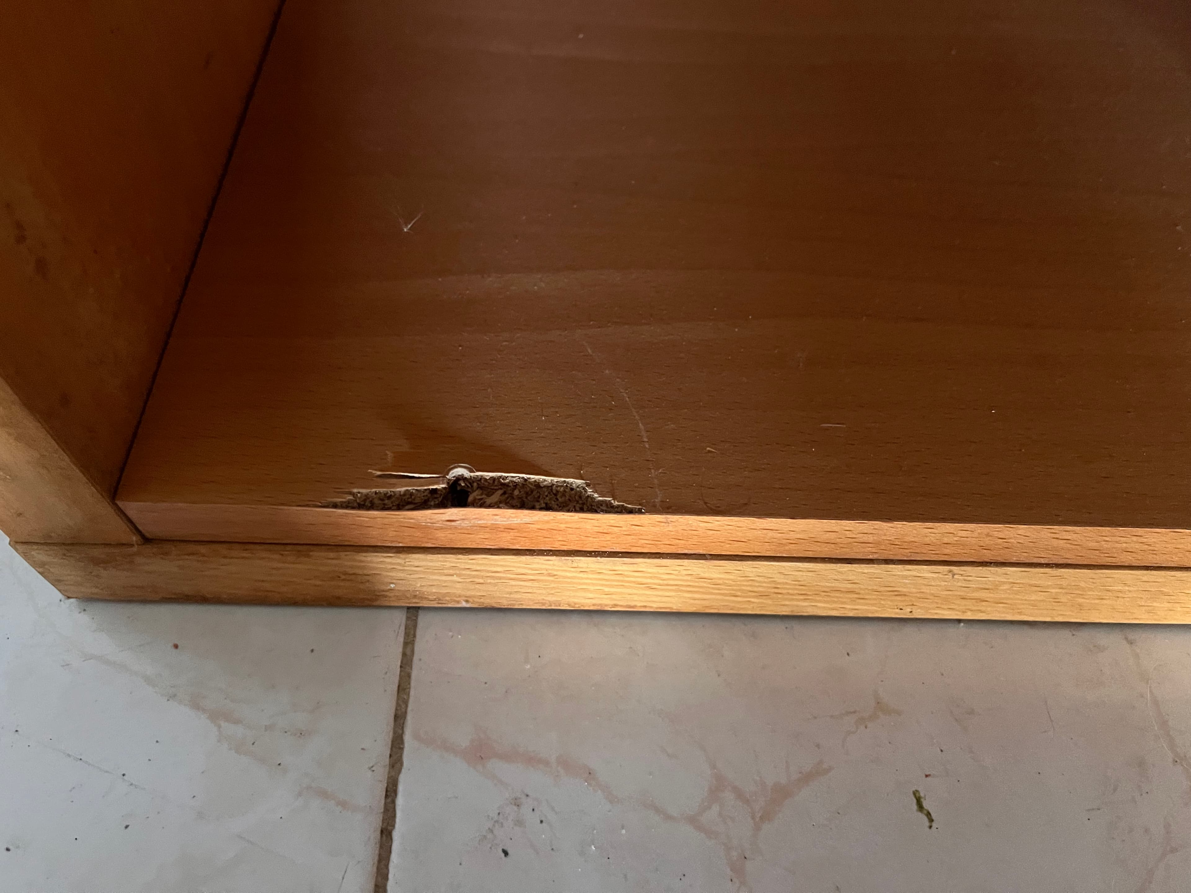 Estante em madeira — imagen 2