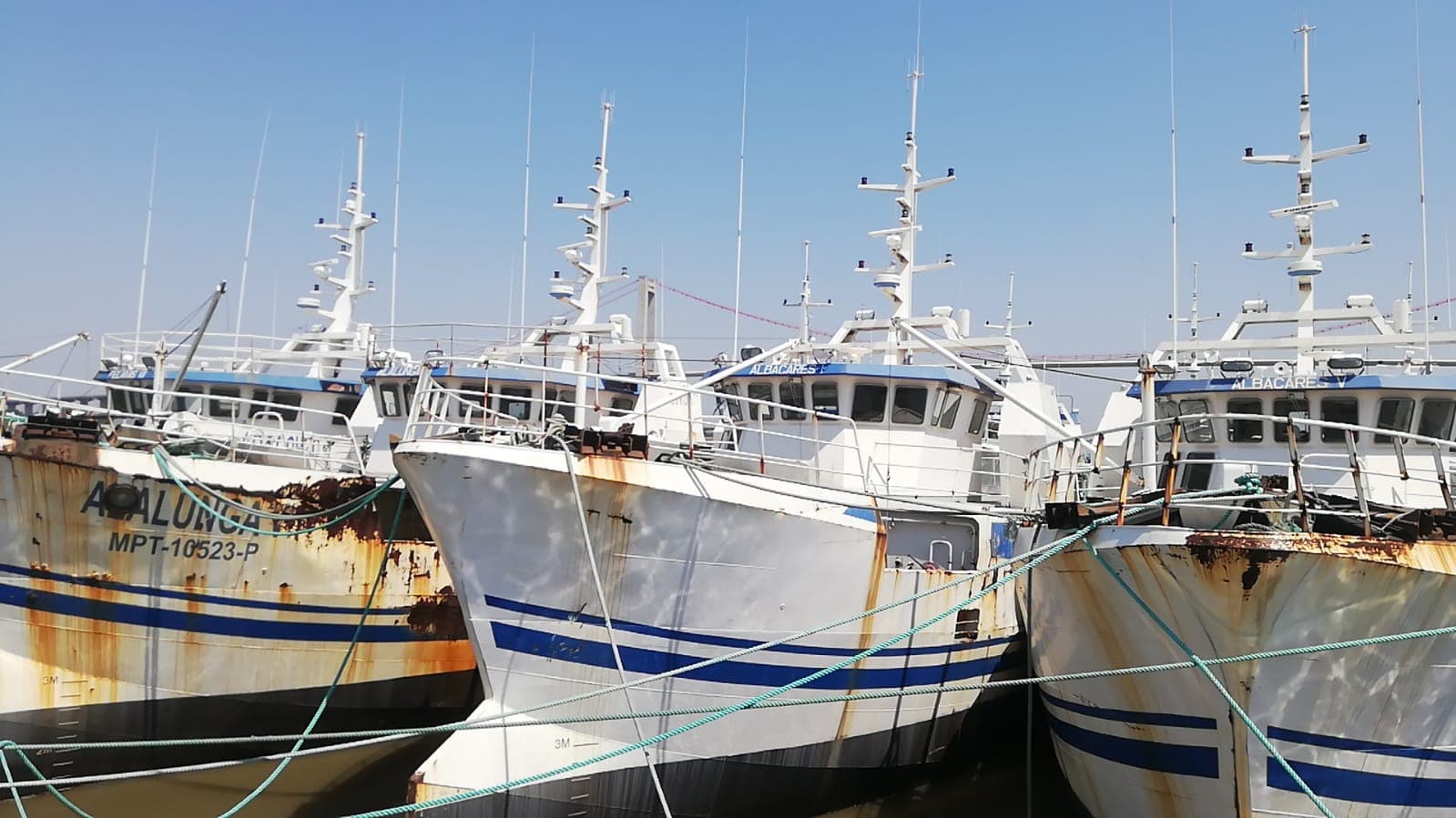Dois Atuneiros | Two Longliners - ALBACARES I + ALBACARES IV — imagem 2