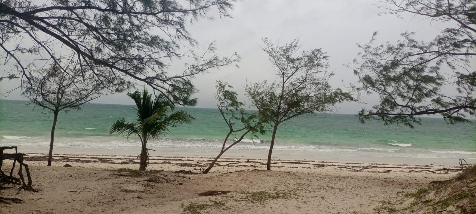 Instância Turística em Chocas Mar | Tourist Resort in Chocas Beach — imagen 15