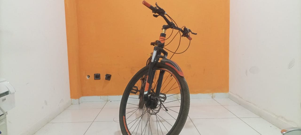 Vélo Lucky Tiger — image 8