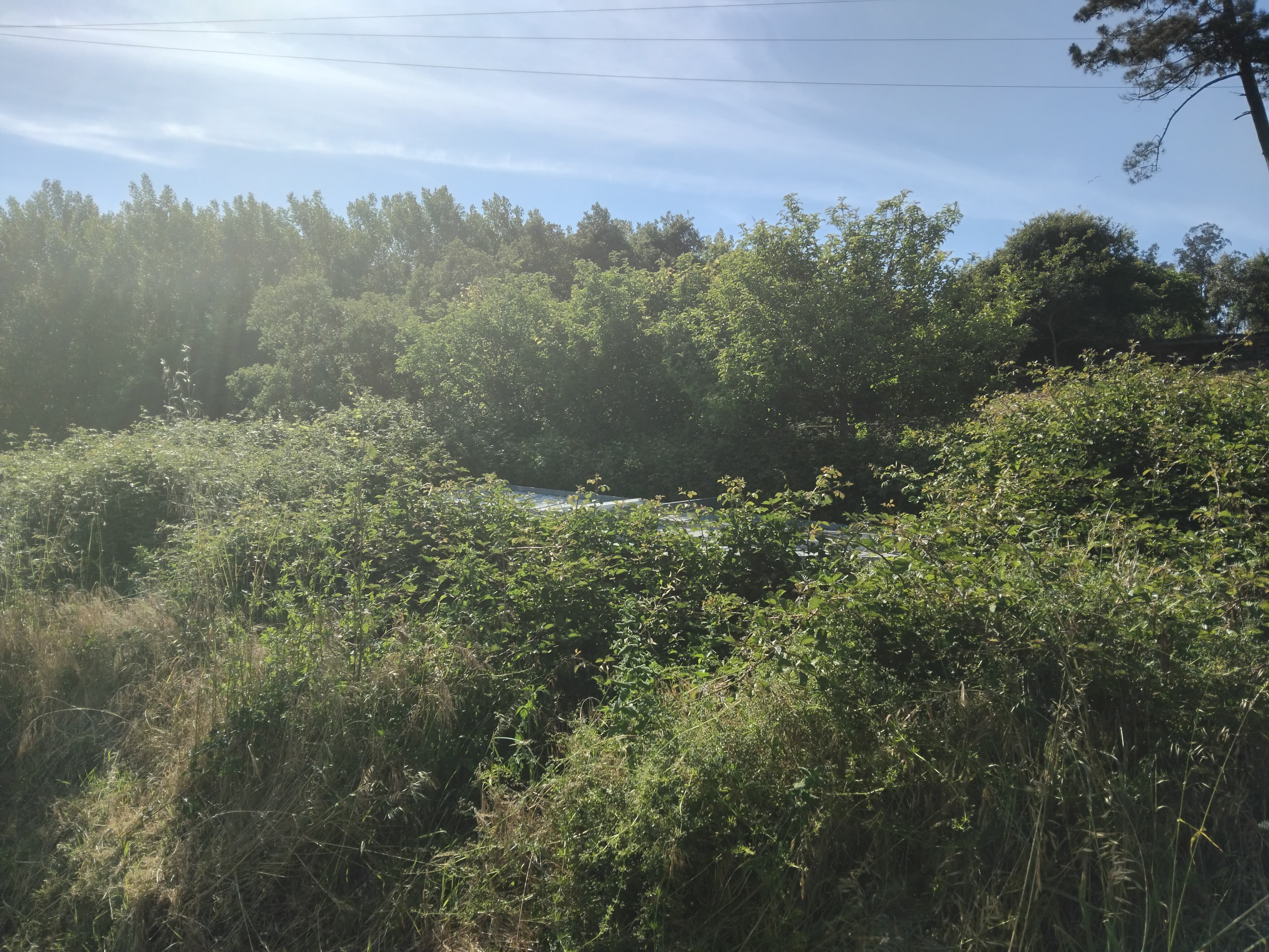 Terrenos · Águeda — image 5