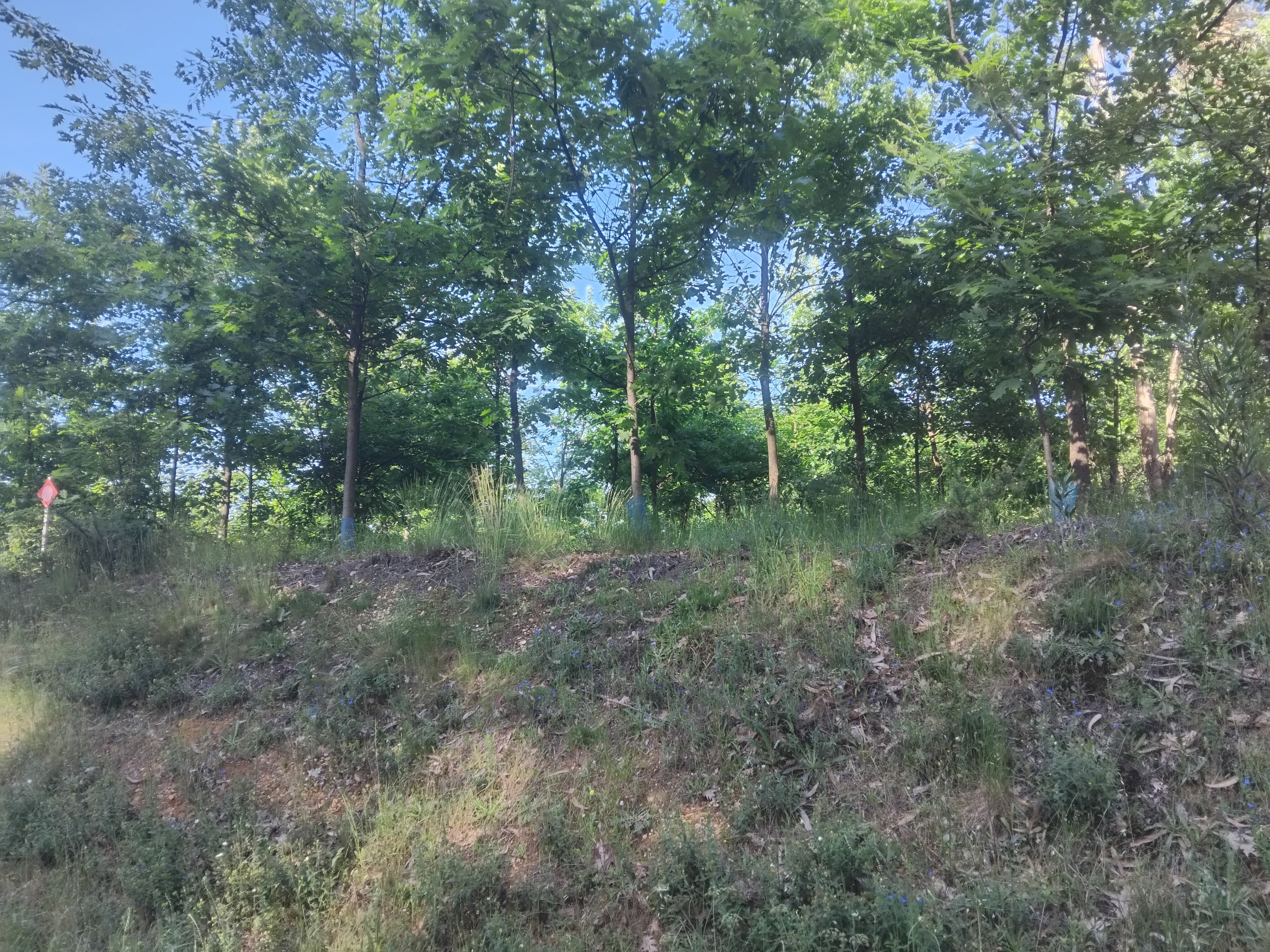 Terreno com 750 m² · Águeda — image 3