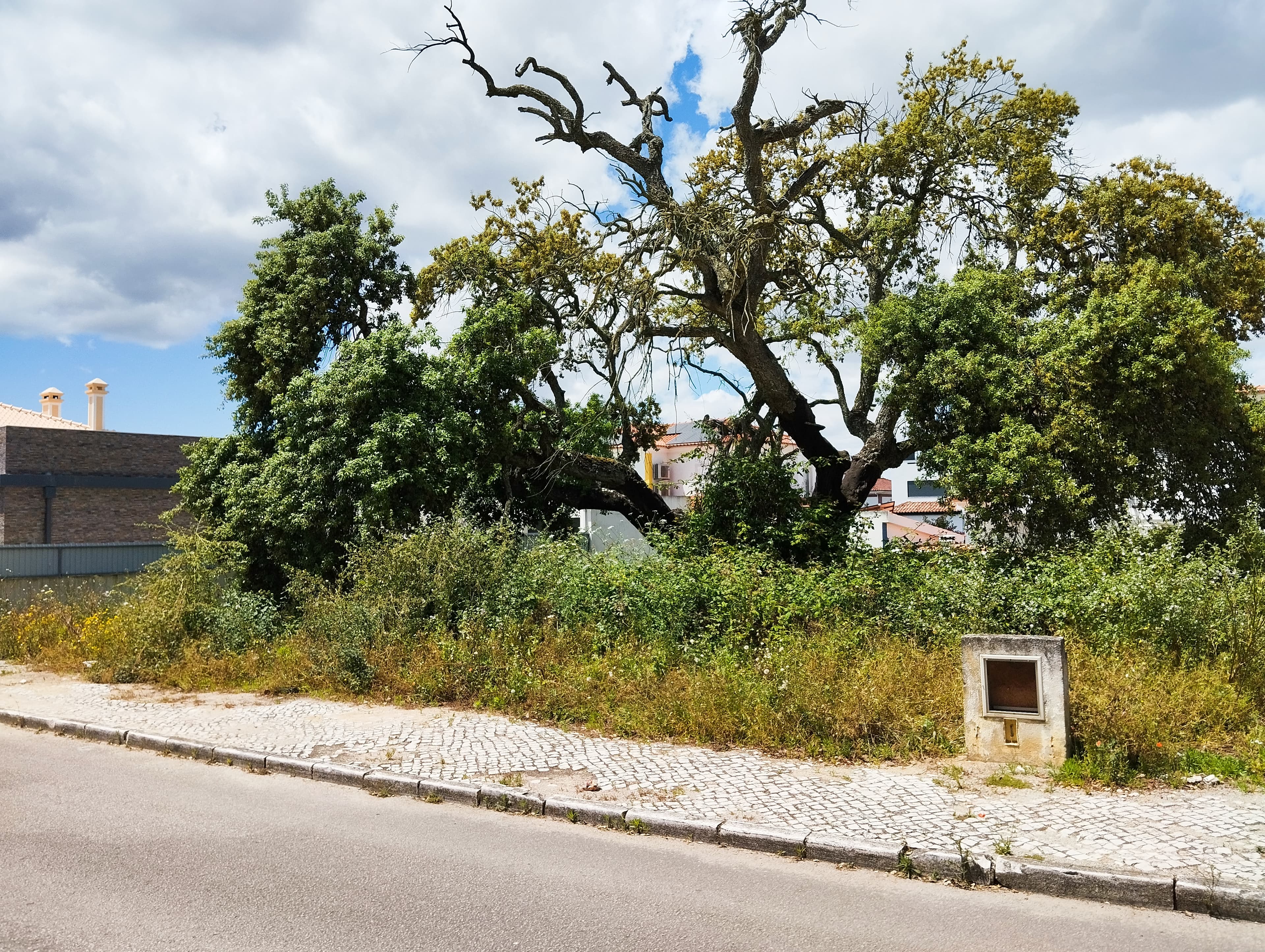 Terreno para Construção · Setúbal — image 2
