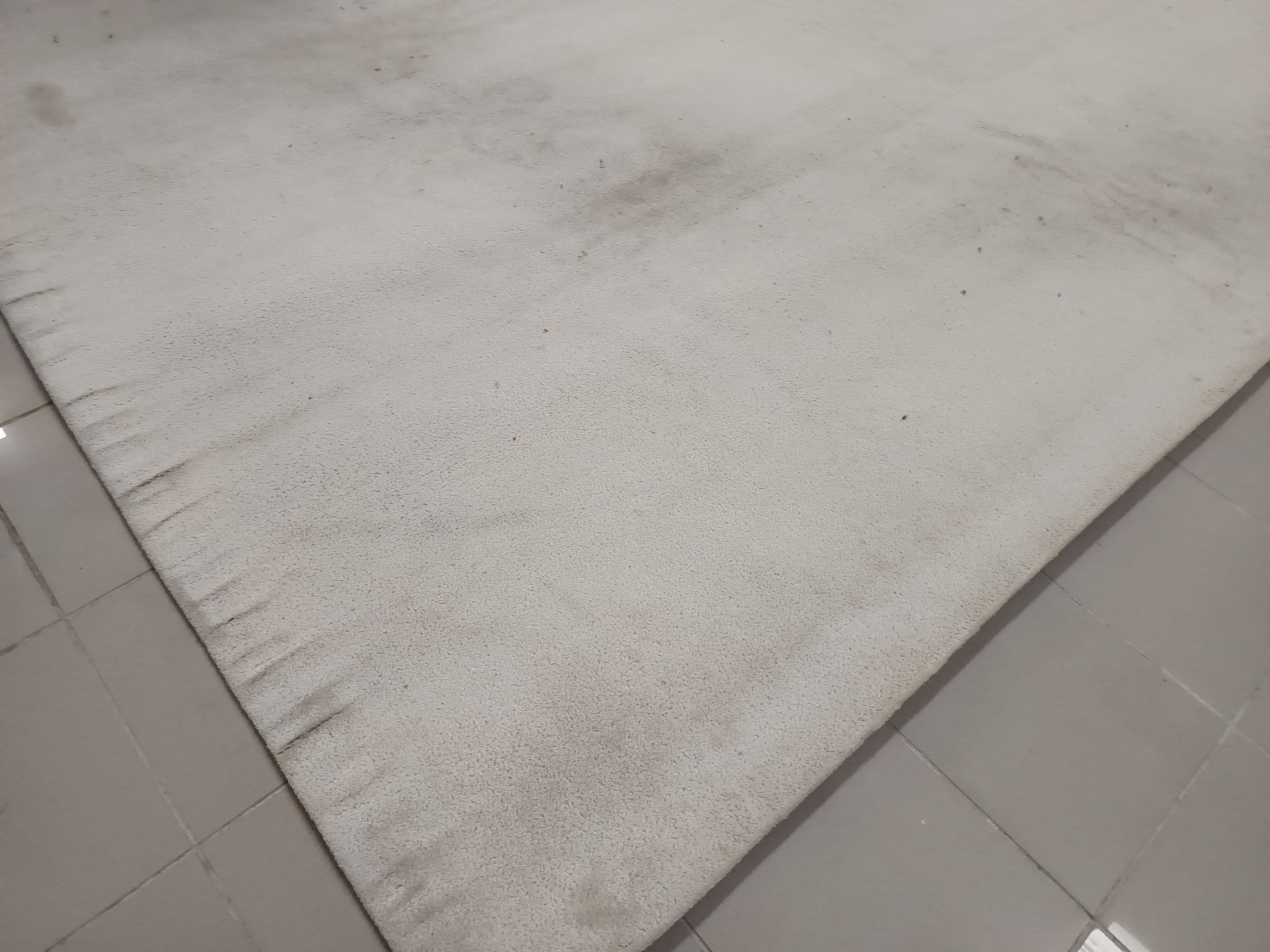 Tapis — image 5
