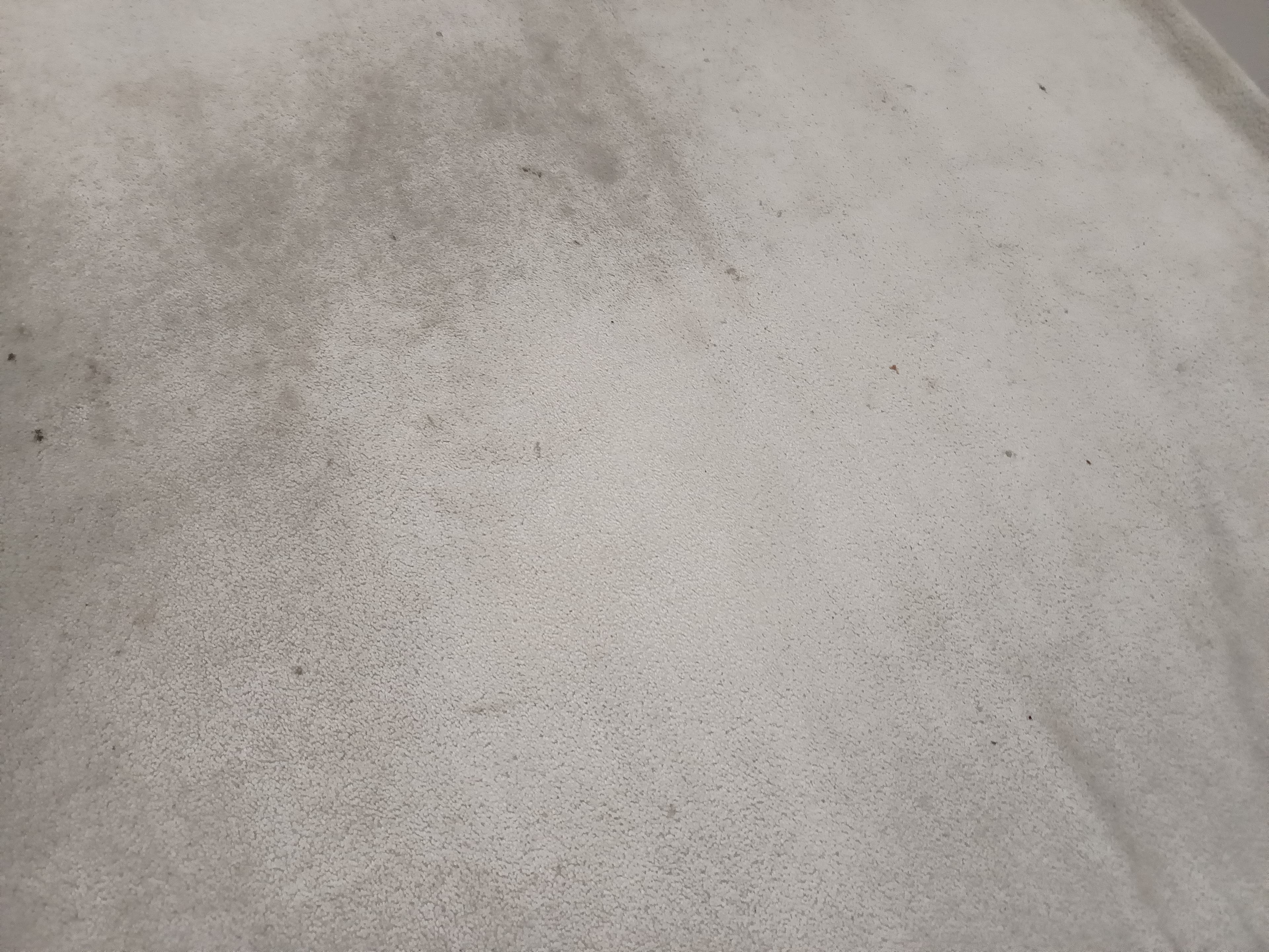 Tapis — image 4