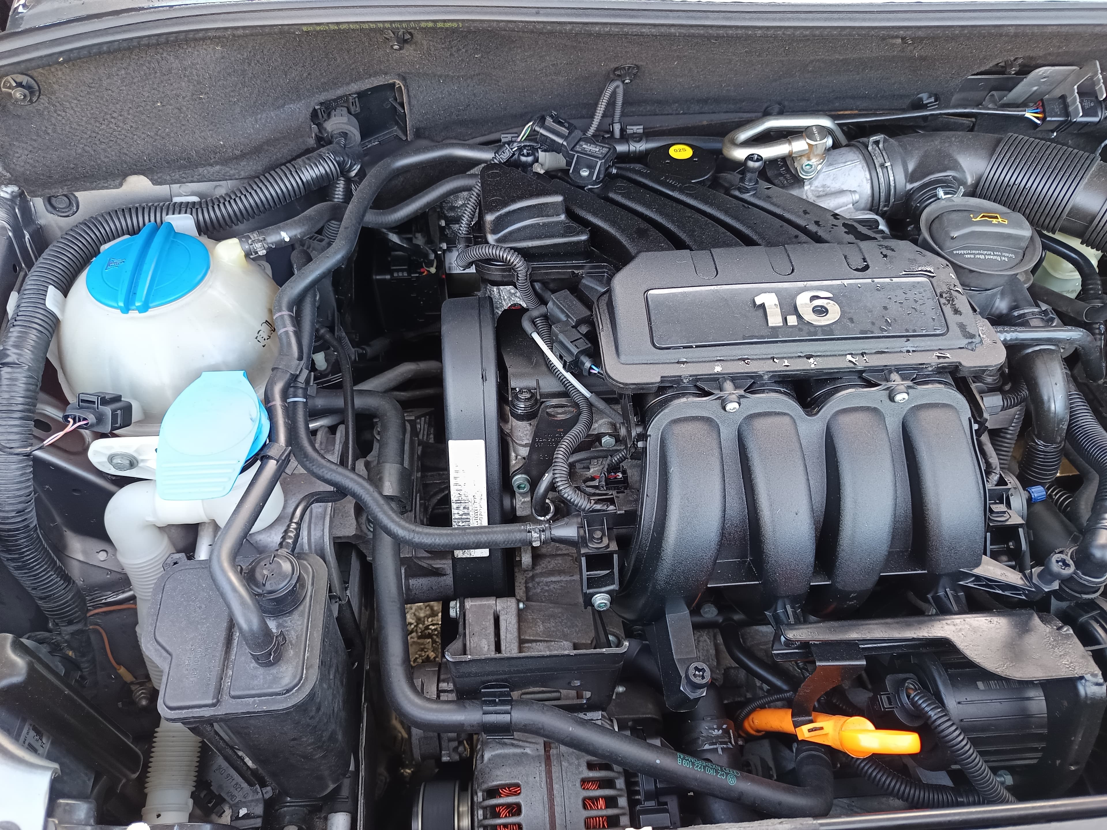 Seat Altea 1.6 · Ano 2004 — imagen 16