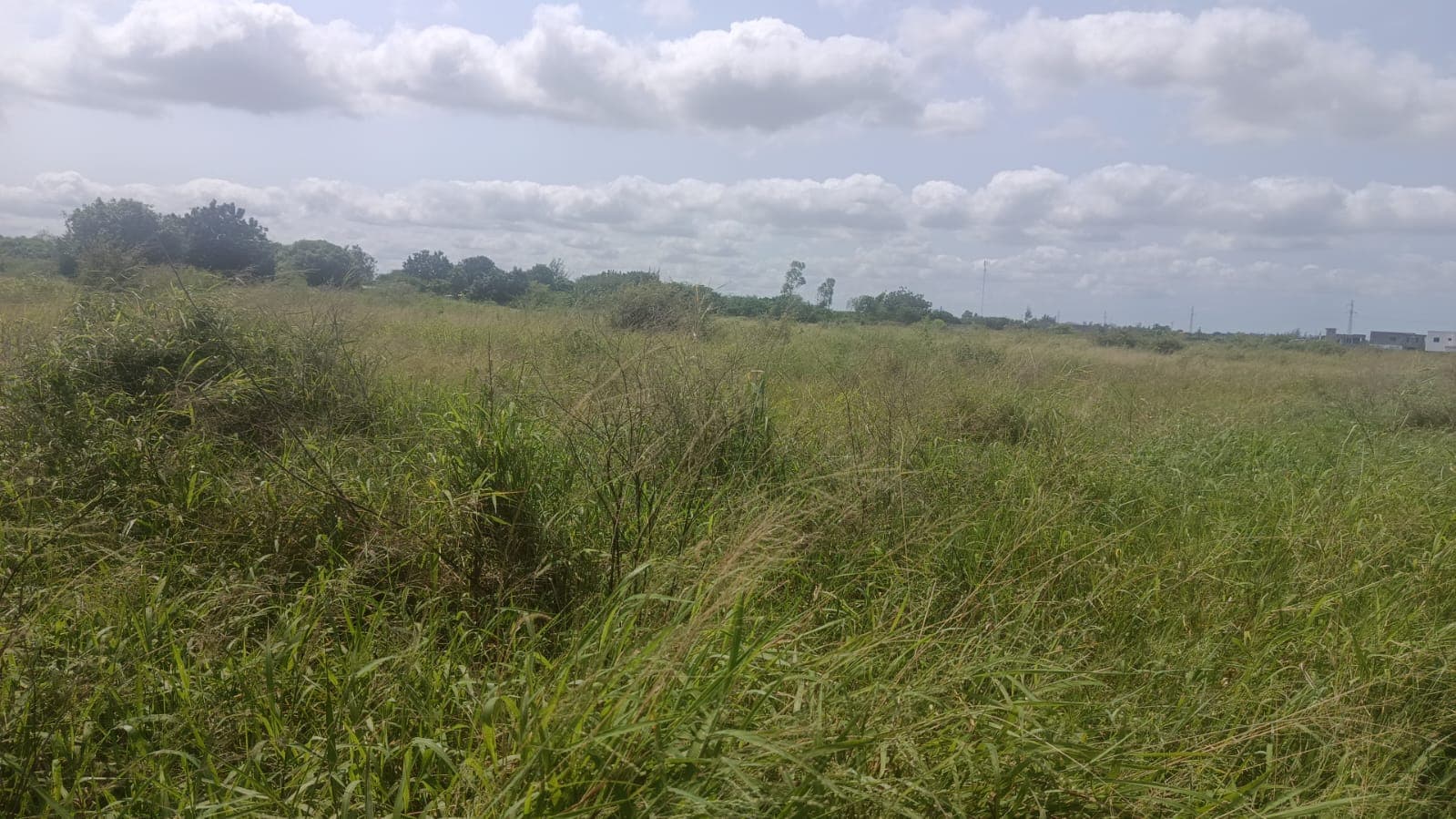 Infraestruturas em terreno de 500m² no Bairro Chinonanquila - Matola Rio — imagen 3
