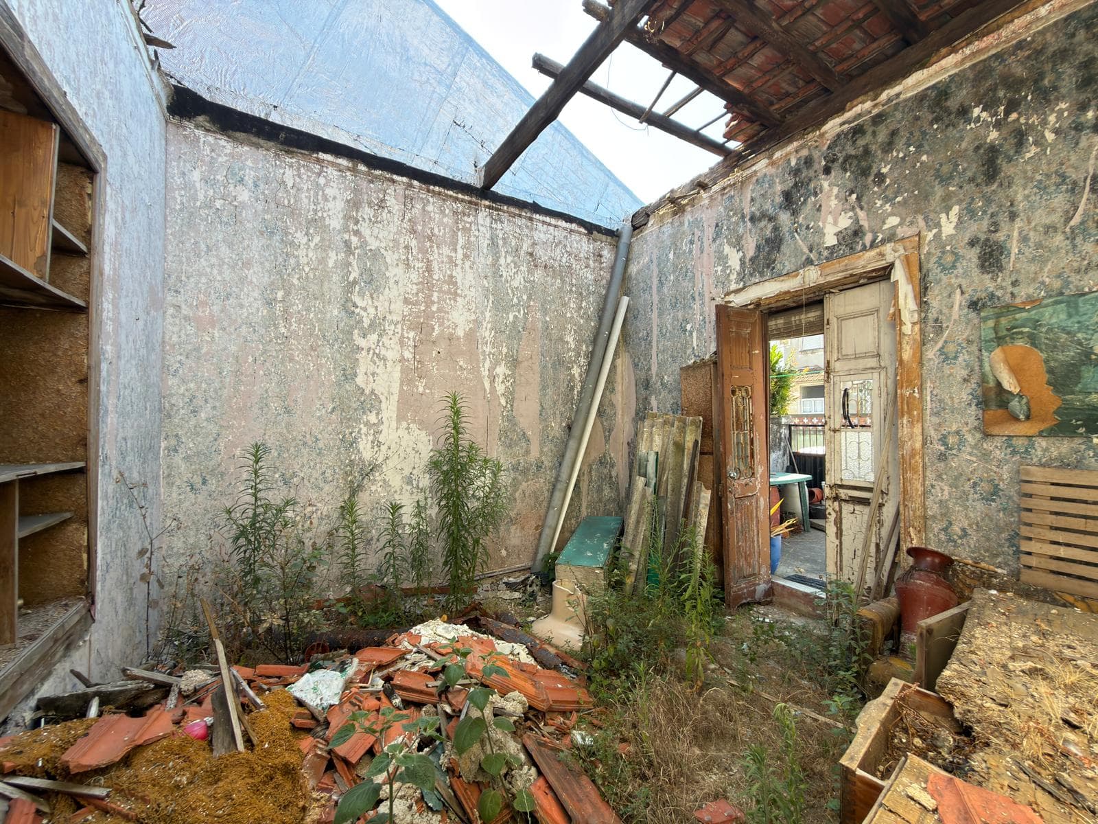 V4 House with garden · Campo Alegre, Porto — image 27