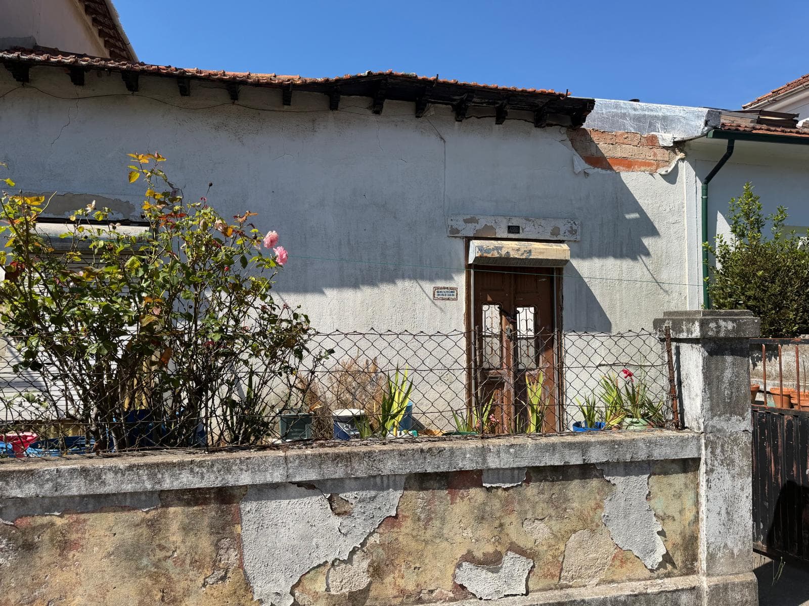 V4 House with garden · Campo Alegre, Porto — image 18