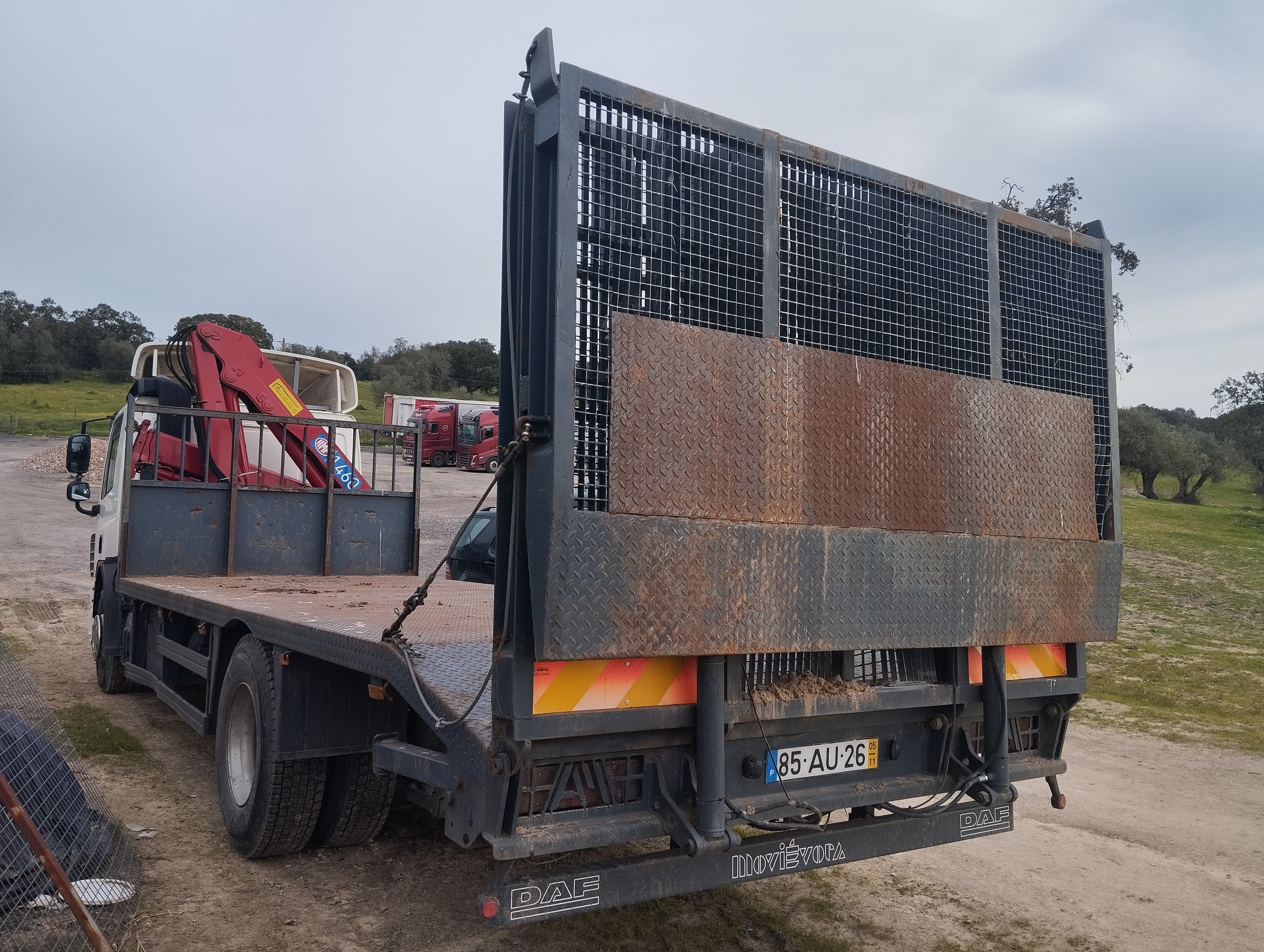DAF CF · Ano 2005 — image 6