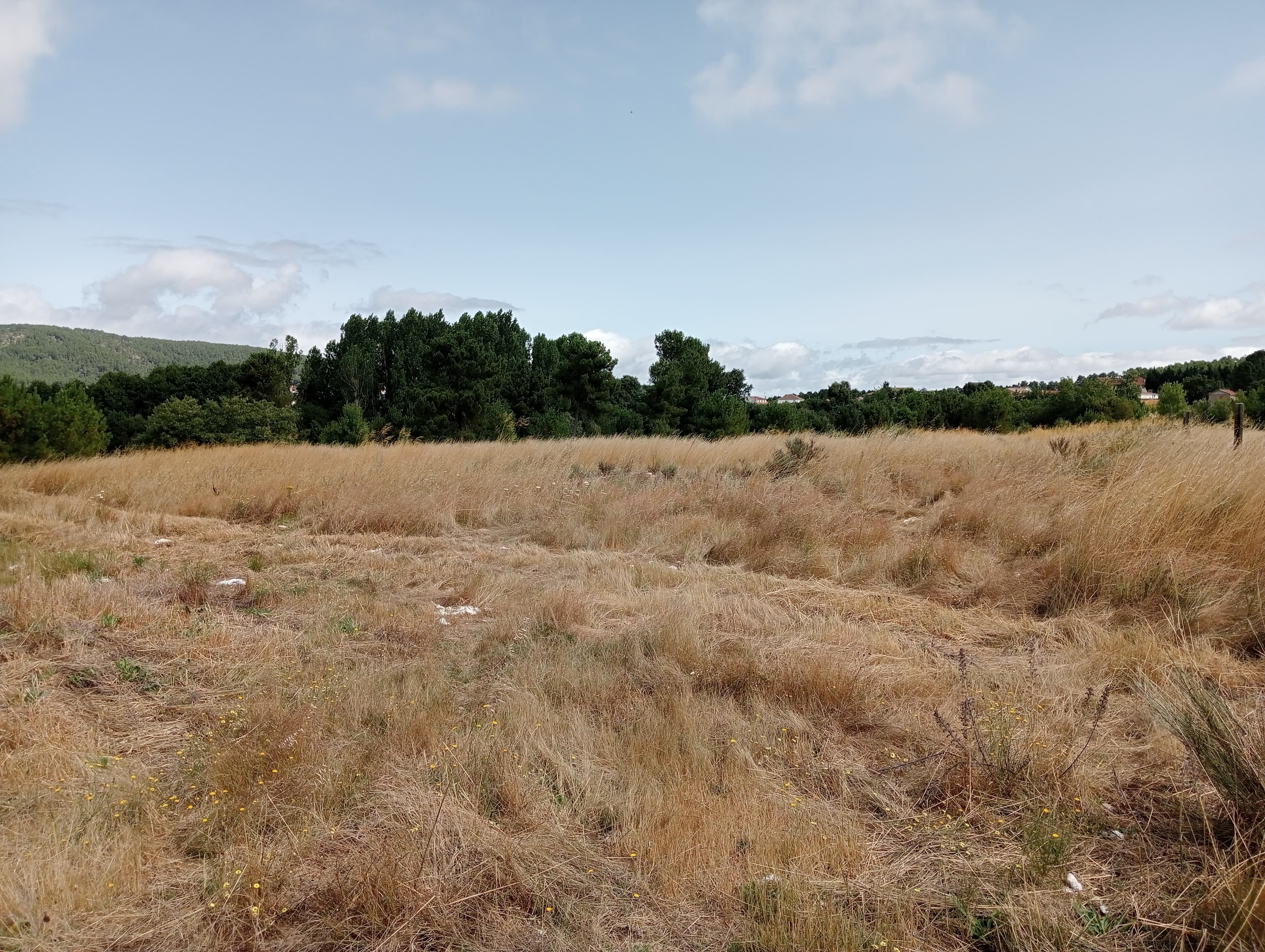 Terreno